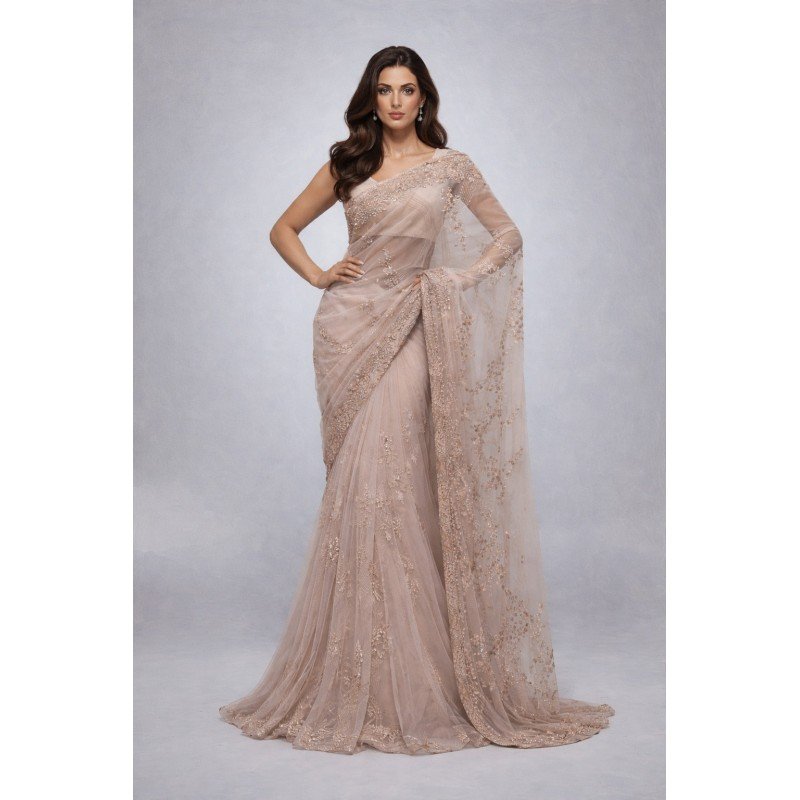 Blush Nude Net Saree